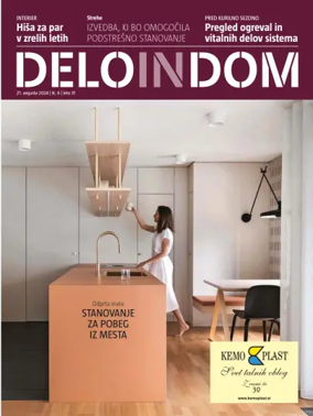 Cover of Delo in Dom