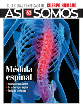 Cover of Asi Somos