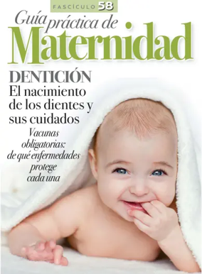 Cover of Guia Practica de Maternidad