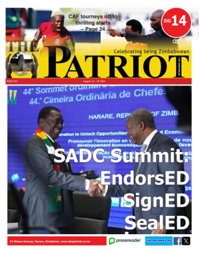 Cover of The Patriot