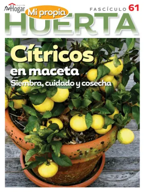 Cover of Huerta en casa