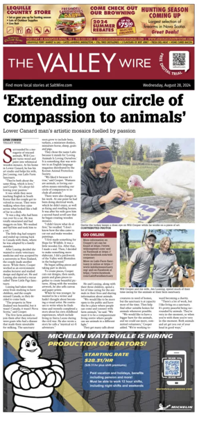 Cover of The Valley Wire