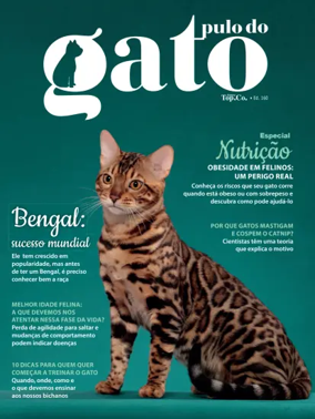Cover of Pulo do gato