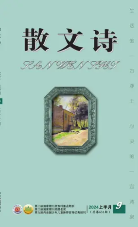 Cover of San Wen Shi