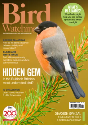 Cover of Bird Watching (UK)