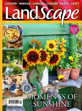 Cover of Landscape (UK)
