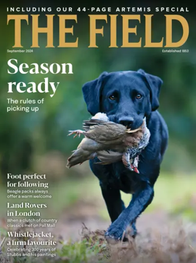 Cover of The Field