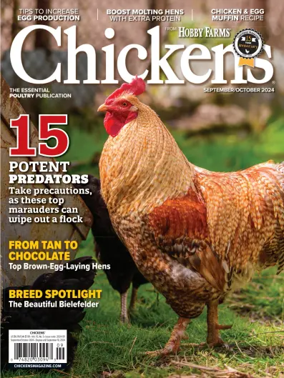 Cover of Chickens