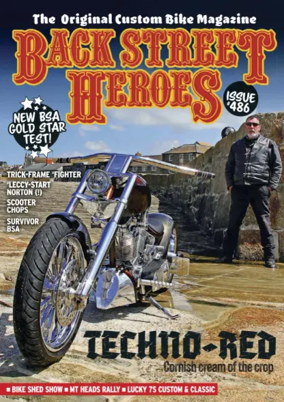 Cover of Back Street Heroes