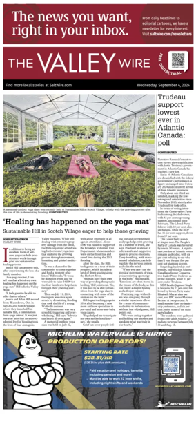 Cover of The Valley Wire