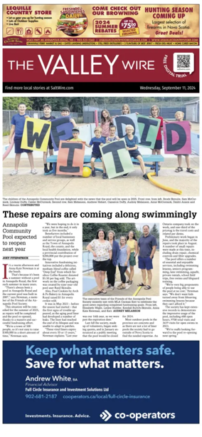 Cover of The Valley Wire