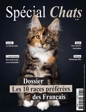 Cover of Special Chats