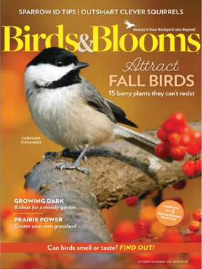 Cover of Birds and Blooms