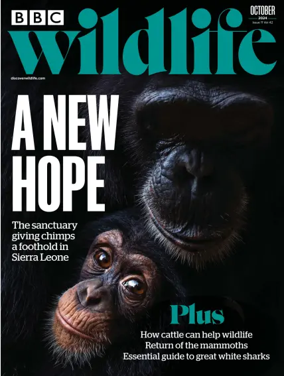 Cover of BBC Wildlife Magazine