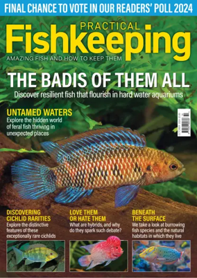 Cover of Practical Fishkeeping
