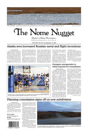 Cover of The Nome Nugget