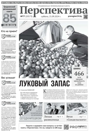 Cover of Perspektiva