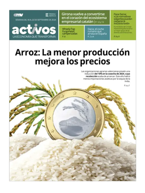 Cover of Activos