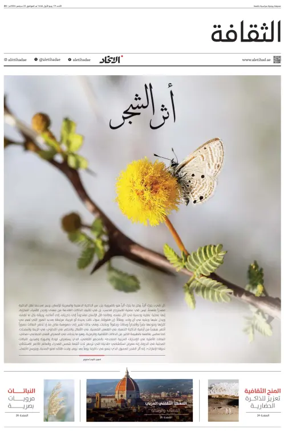 Cover of Culture