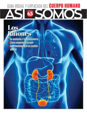 Cover of Asi Somos