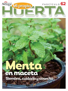 Cover of Huerta en casa