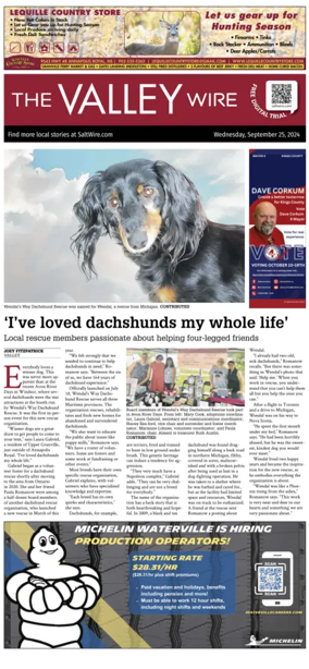 Cover of The Valley Wire