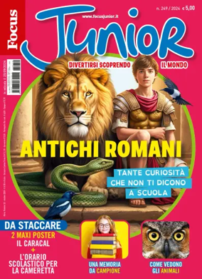 Cover of Focus Junior