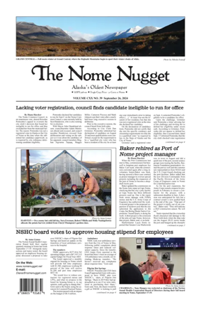 Cover of The Nome Nugget