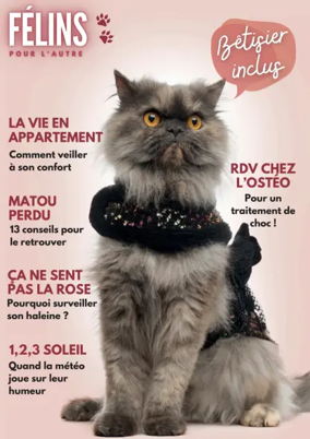 Cover of Félins pour l'autre