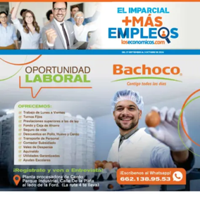 Cover of Mas Empleos