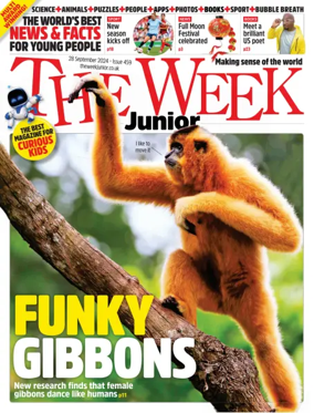Cover of The Week - Junior