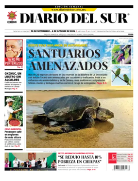 Cover of Diario del Sur