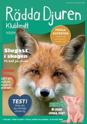 Cover of Radda Djuren