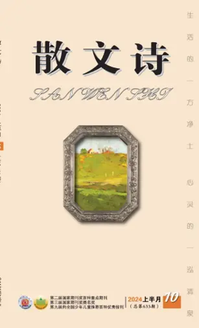 Cover of San Wen Shi