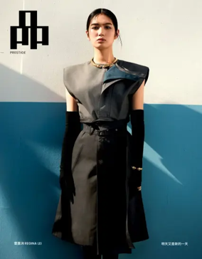 Cover of PIN Prestige (Singapore)