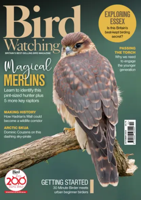 Cover of Bird Watching (UK)