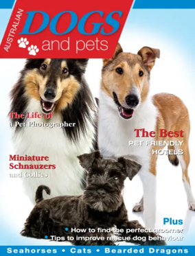 Cover of Dogs & Pets