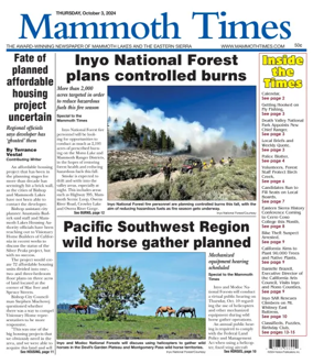 Cover of Mammoth Times