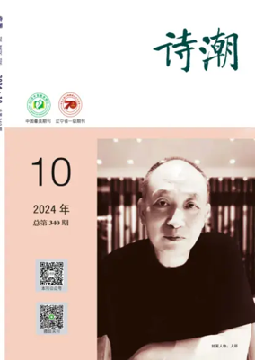 Cover of The Poetic Tide