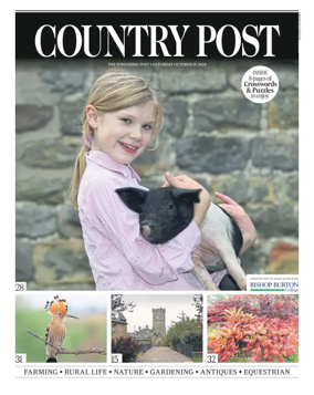 Cover of Country Week