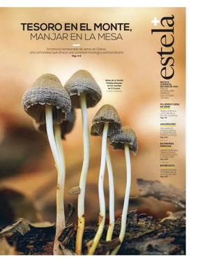 Cover of Estela
