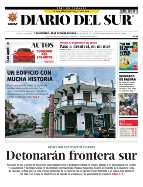 Cover of Diario del Sur