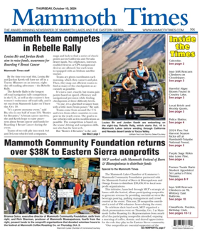 Cover of Mammoth Times