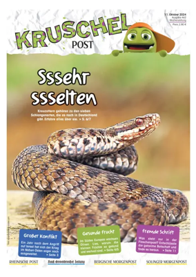 Cover of Kruschelpost