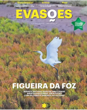 Cover of Evasões