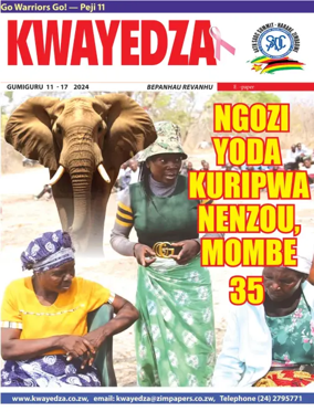 Cover of Kwayedza