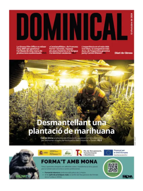 Cover of Dominical
