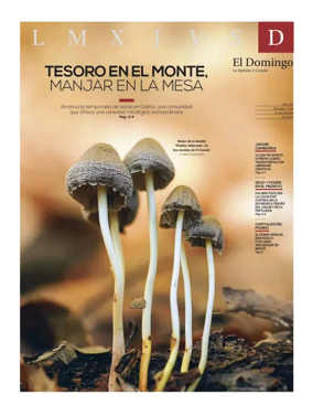 Cover of El Domingo