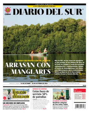 Cover of Diario del Sur