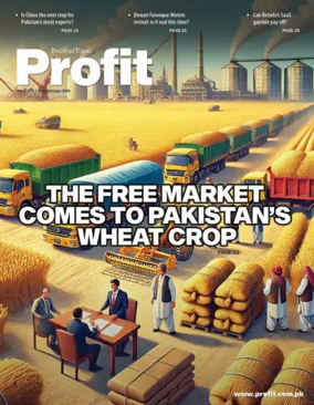 Cover of Profit